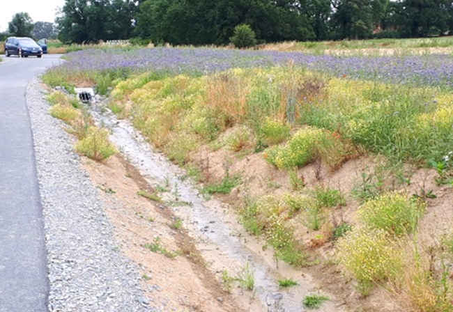 Zur Vorklärung und Rückhaltung des klärpflichtigen Niederschlagswassers wurden Mulden-Rigolen-Systeme erstellt.